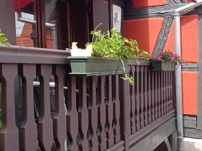 Stunning Apartment In Heart Of Dambach La Ville Zewnętrze zdjęcie